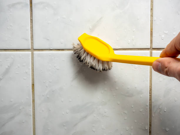 Best DIY Mold Remediation Support Services in Parkston, SD